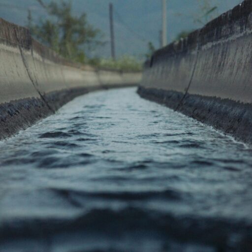 pexels-nazim-can-pirinc-84746543-8895531